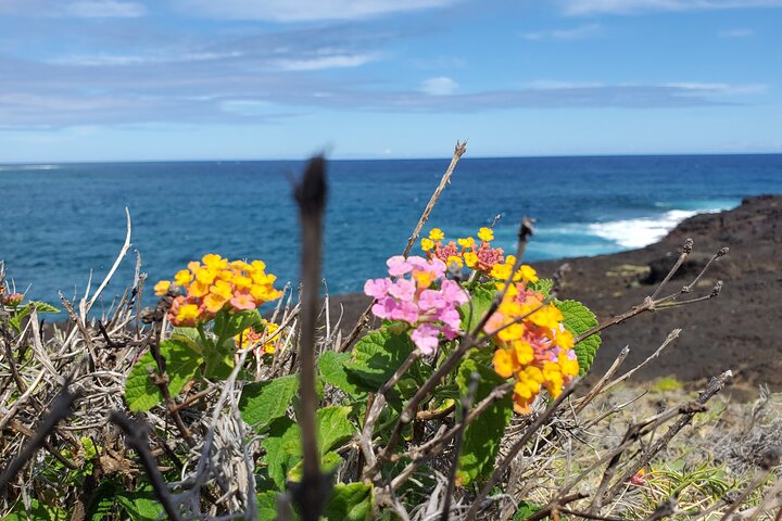 Erkunden Sie Hawaiis raue Südseite auf einer aufregenden ATV-Tour mit Lavafeldern, Küsten und Tierwelt, Foto 6 | wizardtrip