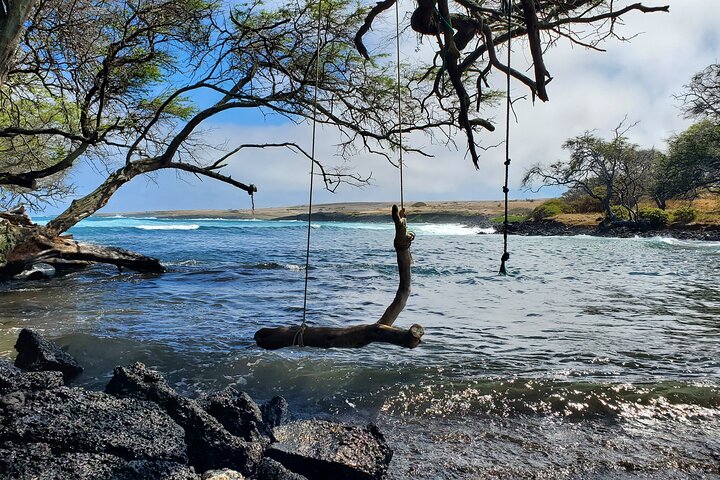 Erkunden Sie Hawaiis raue Südseite auf einer aufregenden ATV-Tour mit Lavafeldern, Küsten und Tierwelt, Foto 12 | wizardtrip