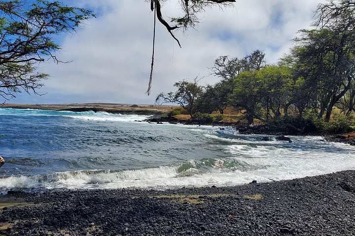 Erkunden Sie Hawaiis raue Südseite auf einer aufregenden ATV-Tour mit Lavafeldern, Küsten und Tierwelt, Foto 13 | wizardtrip
