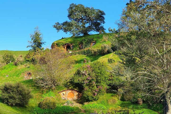 Upplev magin på Hobbiton Movie Set på en liten grupptur från Auckland, inklusive lunch, foto 11 | wizardtrip