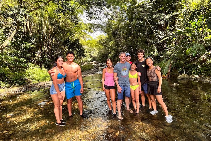 Découvrez les toboggans naturels et l'écosystème luxuriant de la forêt nationale d'El Yunque lors de cette visite guidée depuis San Juan, photo 6 | wizardtrip