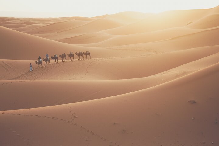 Vivi emozionanti avventure nel deserto a Doha, Qatar, tra cui dune bashing e sandboarding, foto 8 | wizardtrip