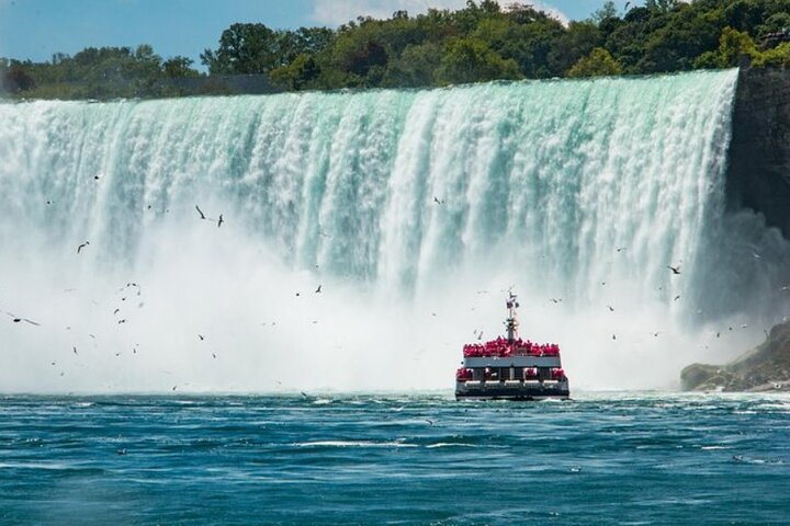 Excursion d'une journée aux chutes du Niagara au départ de Toronto, avec croisière, vignoble et déjeuner, photo 6 | wizardtrip