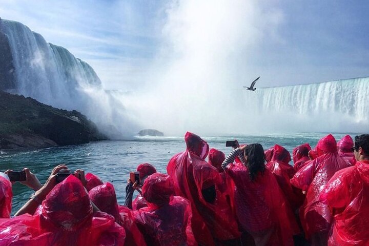 Excursion d'une journée aux chutes du Niagara au départ de Toronto, avec croisière, vignoble et déjeuner, photo 14 | wizardtrip