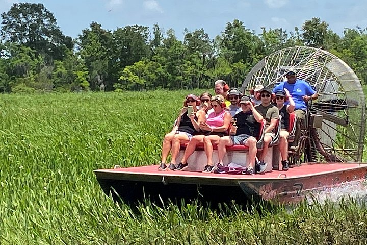 Spennende airboat-tur gjennom Louisianas sumper, med dyreliv og naturskjønn utsikt, foto 9 | wizardtrip
