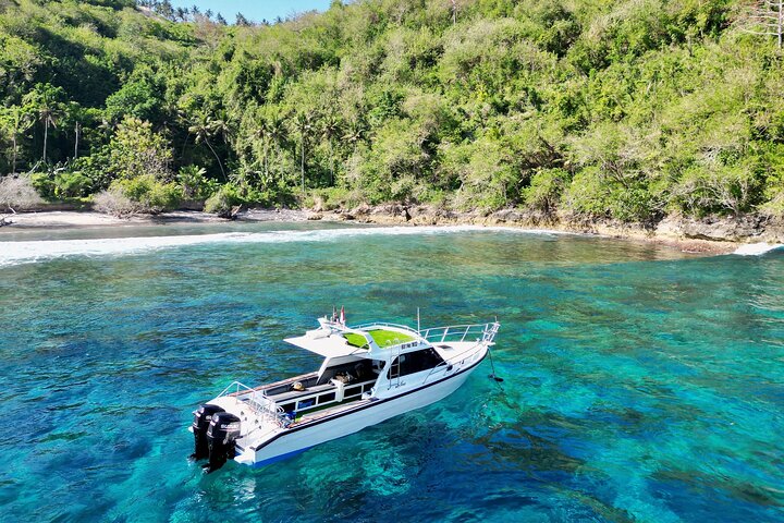 Nusa Penida Manta Snorkeling & Land Tour from Bali | wizardtrip