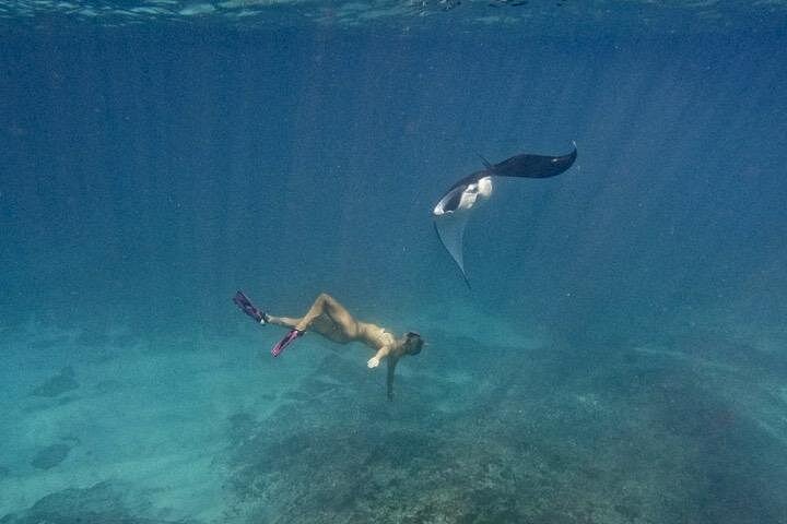 Excursion d'une journée complète à Nusa Penida depuis Bali, avec snorkeling avec les raies manta et exploration terrestre, photo 30 | wizardtrip
