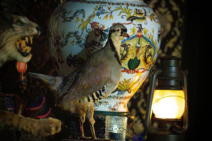 Actuación íntima de espectáculo de magia en The Magical Mystery Show en Honolulu, Hawái, foto 18 | wizardtrip