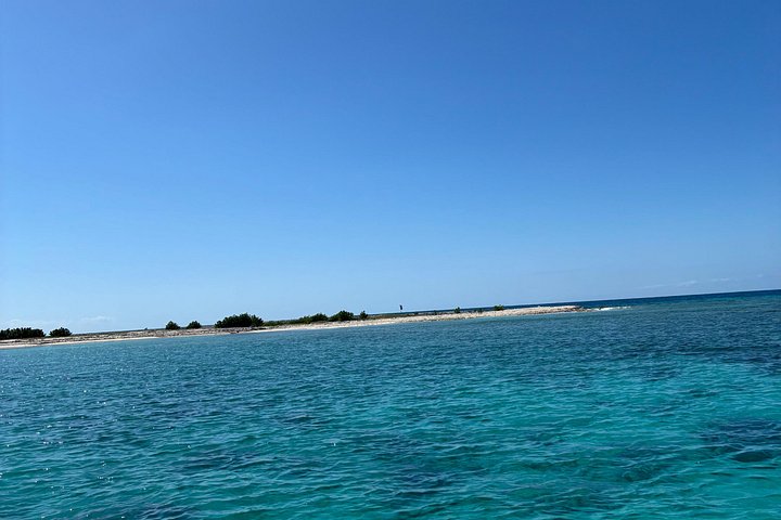 Puerto Rico: Bio Bay Zwemmen en Zonsondergang Charter of Late Avond Tour | wizardtrip