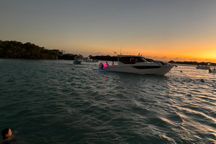Båttur i Puerto Rico med solnedgång och simning i bioluminiscent vik, foto 10 | wizardtrip
