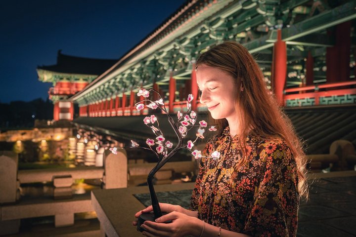 Oude Koreaanse Duizendjarige Geschiedenis Tour van Gyeongju vanuit Busan | wizardtrip