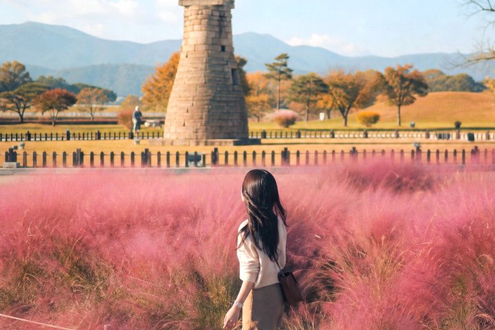 Utforska Silla-rikets gamla historia och kultur i Gyeongju, inklusive tempel, traditionella byar och kungliga gravar, på en dagsutflykt från Busan, foto 18 | wizardtrip
