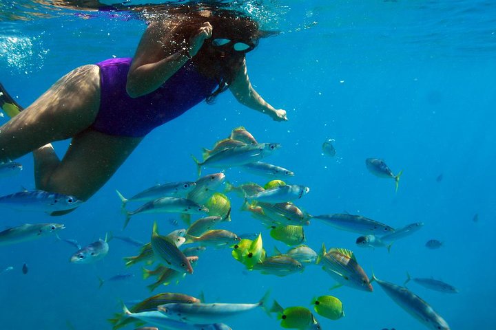 Croisière en Catamaran à Ko Olina avec Plongée en Apnée et Déjeuner | wizardtrip
