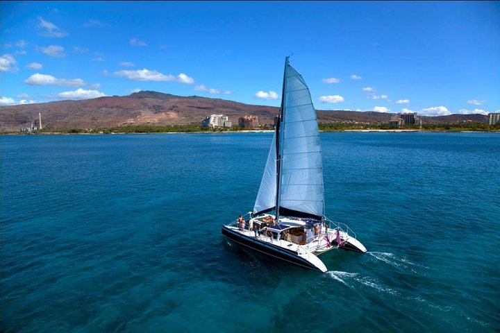Desfrute de um passeio de catamarã e aventura de snorkel na costa de Oahu, com vistas deslumbrantes e vida marinha, foto 6 | wizardtrip