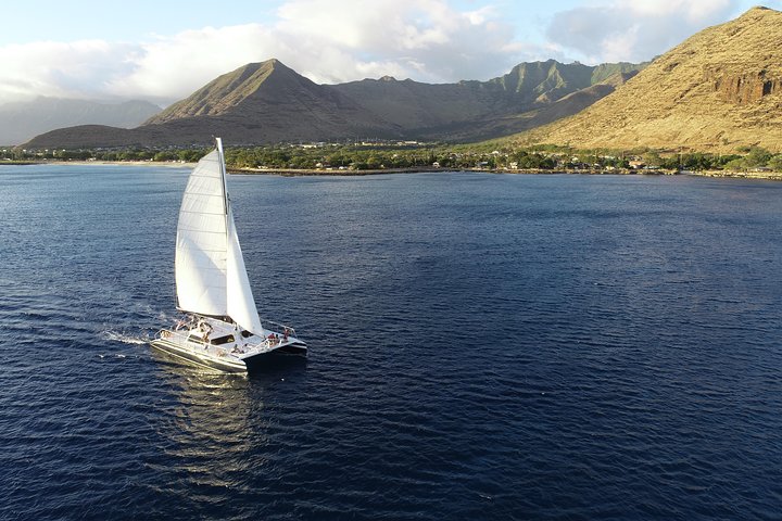 Desfrute de um passeio de catamarã e aventura de snorkel na costa de Oahu, com vistas deslumbrantes e vida marinha, foto 7 | wizardtrip
