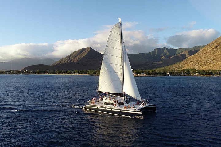 Desfrute de um passeio de catamarã e aventura de snorkel na costa de Oahu, com vistas deslumbrantes e vida marinha, foto 8 | wizardtrip