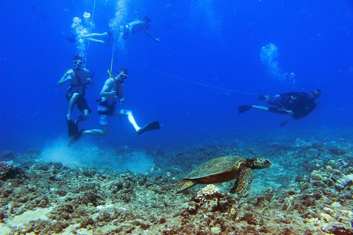 Desfrute de um passeio de catamarã e aventura de snorkel na costa de Oahu, com vistas deslumbrantes e vida marinha, foto 10 | wizardtrip