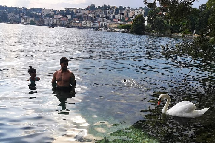 Une excursion panoramique en petit groupe depuis Milan visitant le lac de Côme en Italie et le lac de Lugano en Suisse, photo 43 | wizardtrip