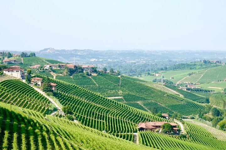 Dégustation de vin Barolo en petit groupe, Alba & Collines du Piémont classées UNESCO | wizardtrip