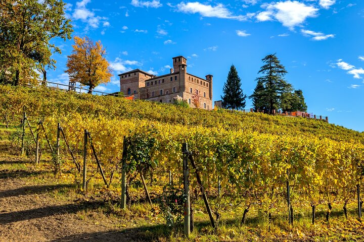Vinsmakingstur for små grupper i Barolo, Alba og Piemonte-åsene fra Milano, foto 6 | wizardtrip