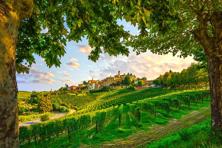 Vinsmakingstur for små grupper i Barolo, Alba og Piemonte-åsene fra Milano, foto 10 | wizardtrip