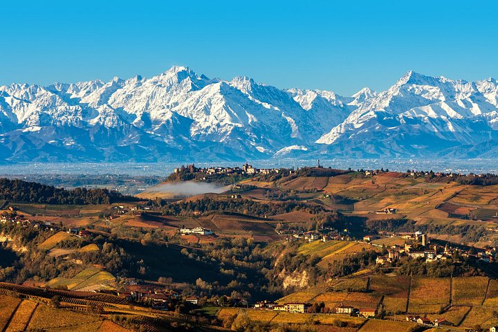 Vinsmakingstur for små grupper i Barolo, Alba og Piemonte-åsene fra Milano, foto 13 | wizardtrip