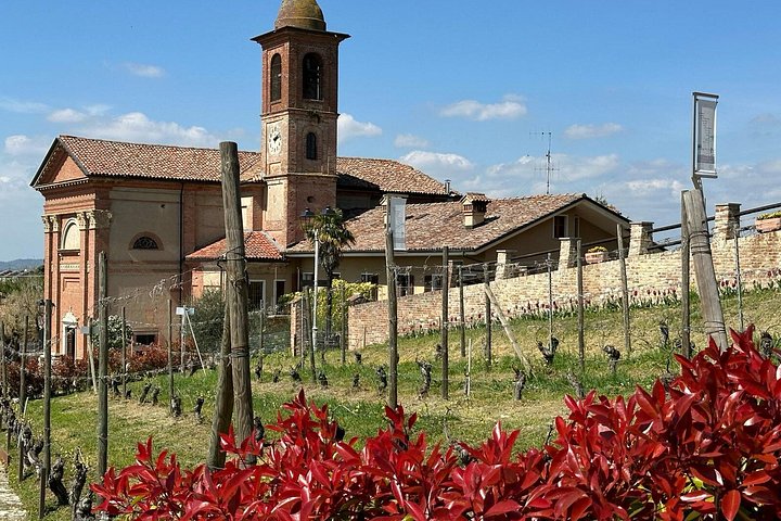 Vinsmakingstur for små grupper i Barolo, Alba og Piemonte-åsene fra Milano, foto 14 | wizardtrip
