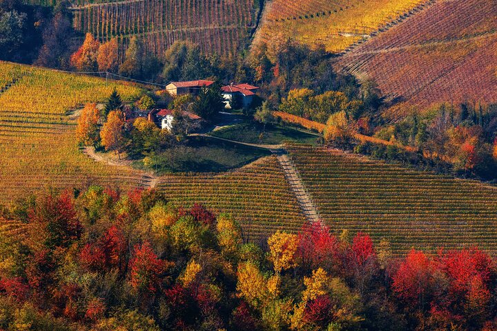Vinsmakingstur for små grupper i Barolo, Alba og Piemonte-åsene fra Milano, foto 18 | wizardtrip