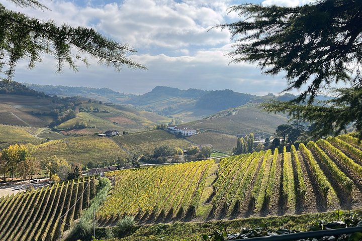 Vinsmakingstur for små grupper i Barolo, Alba og Piemonte-åsene fra Milano, foto 19 | wizardtrip