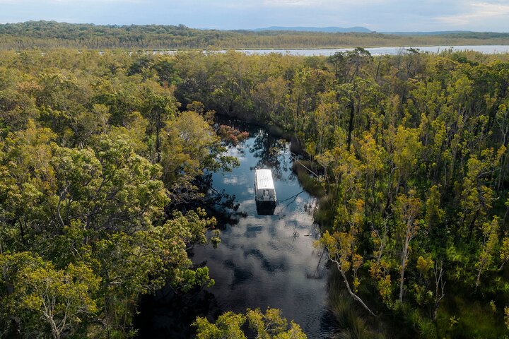 Cruzeiro Serenity pelos Everglades da Austrália | wizardtrip