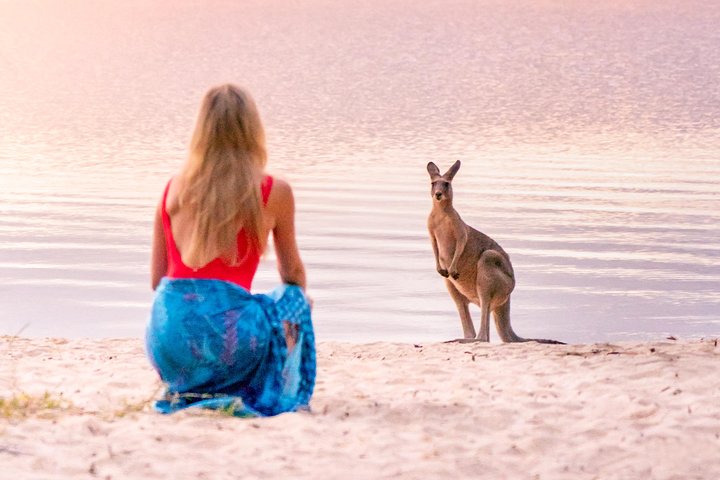 Naturskön flodkryssning genom Australiens unika Everglades-ekosystem i Noosa, foto 11 | wizardtrip