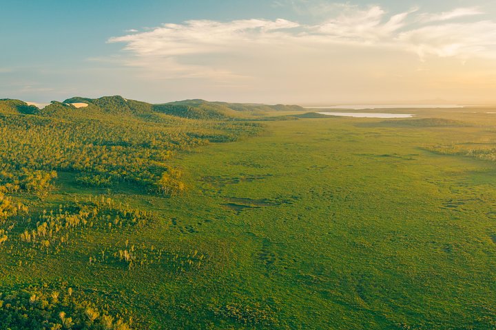 Naturskön flodkryssning genom Australiens unika Everglades-ekosystem i Noosa, foto 12 | wizardtrip