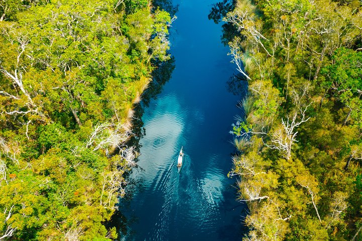 Everglades Explorer - Tour des Everglades de Noosa | wizardtrip
