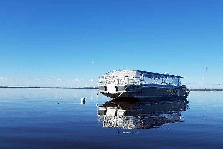 Udforsk Australiens unikke Everglades' rolige, spejlblanke vandveje på en guidet øko-bådtur eller kano fra Noosa, foto 6 | wizardtrip