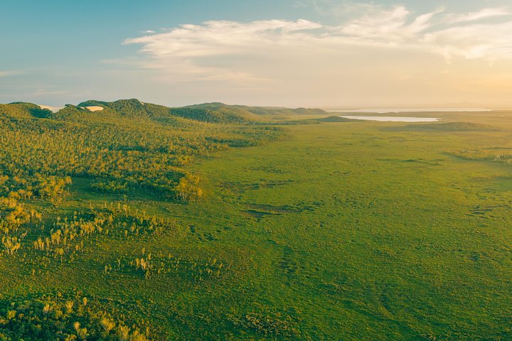 Udforsk Australiens unikke Everglades' rolige, spejlblanke vandveje på en guidet øko-bådtur eller kano fra Noosa, foto 7 | wizardtrip