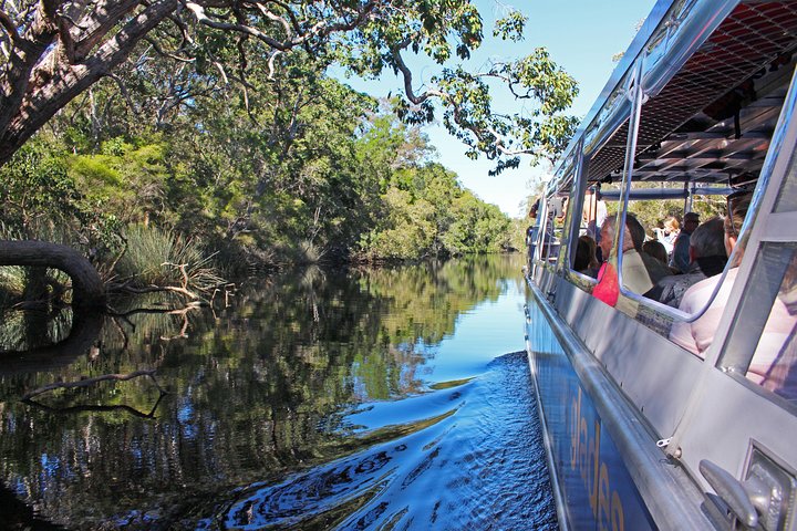 Udforsk Australiens unikke Everglades' rolige, spejlblanke vandveje på en guidet øko-bådtur eller kano fra Noosa, foto 8 | wizardtrip