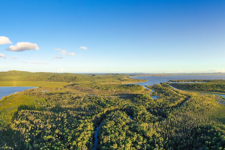 Udforsk Australiens unikke Everglades' rolige, spejlblanke vandveje på en guidet øko-bådtur eller kano fra Noosa, foto 9 | wizardtrip