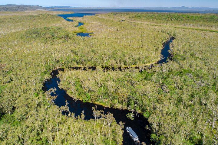 Udforsk Australiens unikke Everglades' rolige, spejlblanke vandveje på en guidet øko-bådtur eller kano fra Noosa, foto 10 | wizardtrip