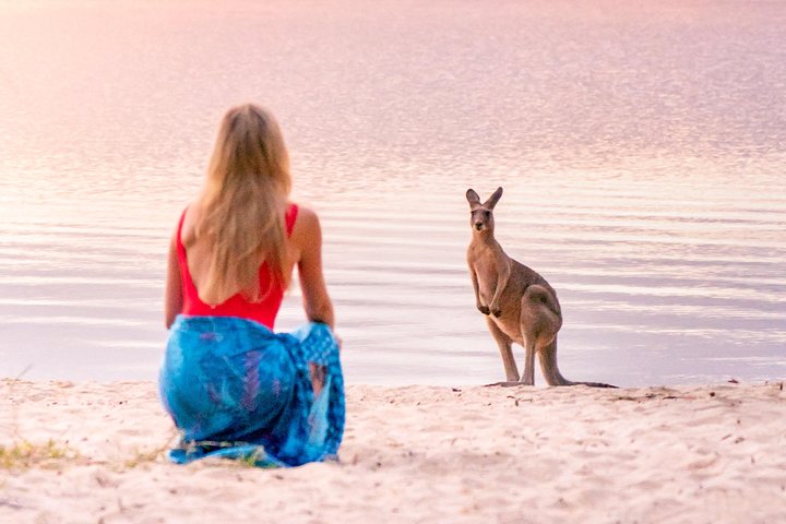 Udforsk Australiens unikke Everglades' rolige, spejlblanke vandveje på en guidet øko-bådtur eller kano fra Noosa, foto 11 | wizardtrip