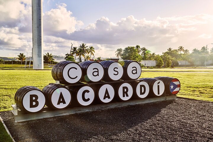 プエルトリコのCasa Bacardiでのラムテイスティング体験。熟成樽とプレミアムラムを紹介しています、写真7 | wizardtrip