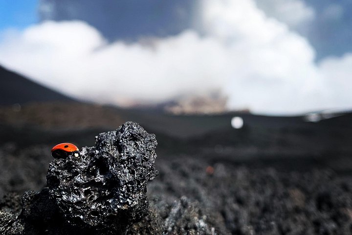 Trekking adventure on Mount Etna, Sicily, with cable car and 4x4 ascent to craters, photo 14 | wizardtrip
