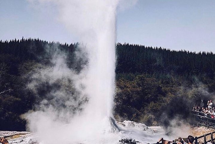 Tour en petit groupe explorant les parcs géothermiques, les geysers et les vallées volcaniques de Rotorua, photo 7 | wizardtrip