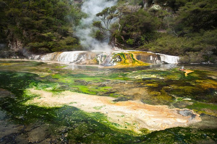Tour en petit groupe explorant les parcs géothermiques, les geysers et les vallées volcaniques de Rotorua, photo 11 | wizardtrip
