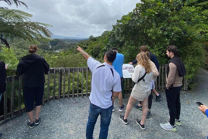 Tour en petit groupe explorant les parcs géothermiques, les geysers et les vallées volcaniques de Rotorua, photo 14 | wizardtrip