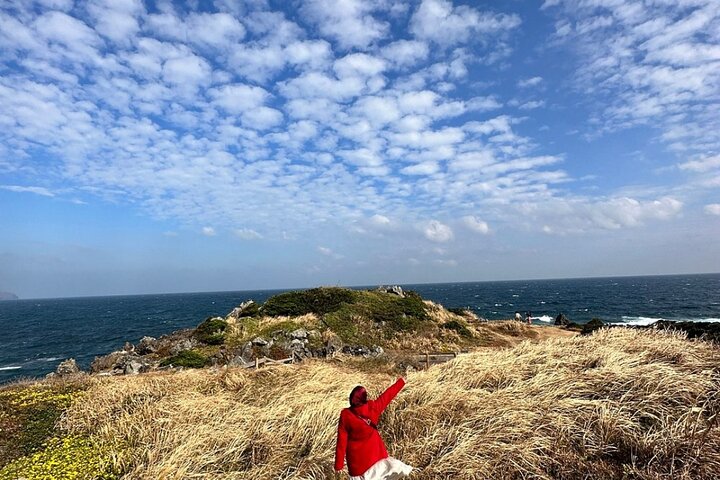 Private guidede turer som utforsker Jeju Islands naturlige skjønnhet og kulturarv, foto 6 | wizardtrip