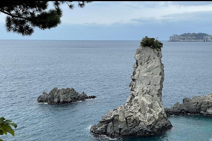 Private guidede turer som utforsker Jeju Islands naturlige skjønnhet og kulturarv, foto 8 | wizardtrip