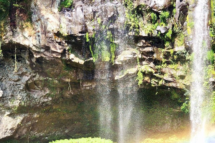 Private guidede turer som utforsker Jeju Islands naturlige skjønnhet og kulturarv, foto 10 | wizardtrip