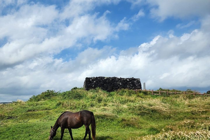 Private guidede turer som utforsker Jeju Islands naturlige skjønnhet og kulturarv, foto 12 | wizardtrip
