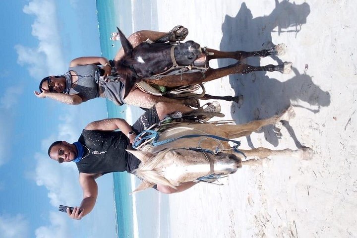 Découvrez l'équitation, les aventures en VTT et la baignade en grotte en République Dominicaine, photo 51 | wizardtrip
