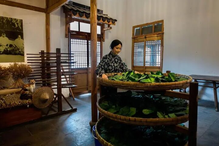 Privat guidet tur til Suzhous hager, kanaler og historiske gater fra Shanghai, foto 11 | wizardtrip